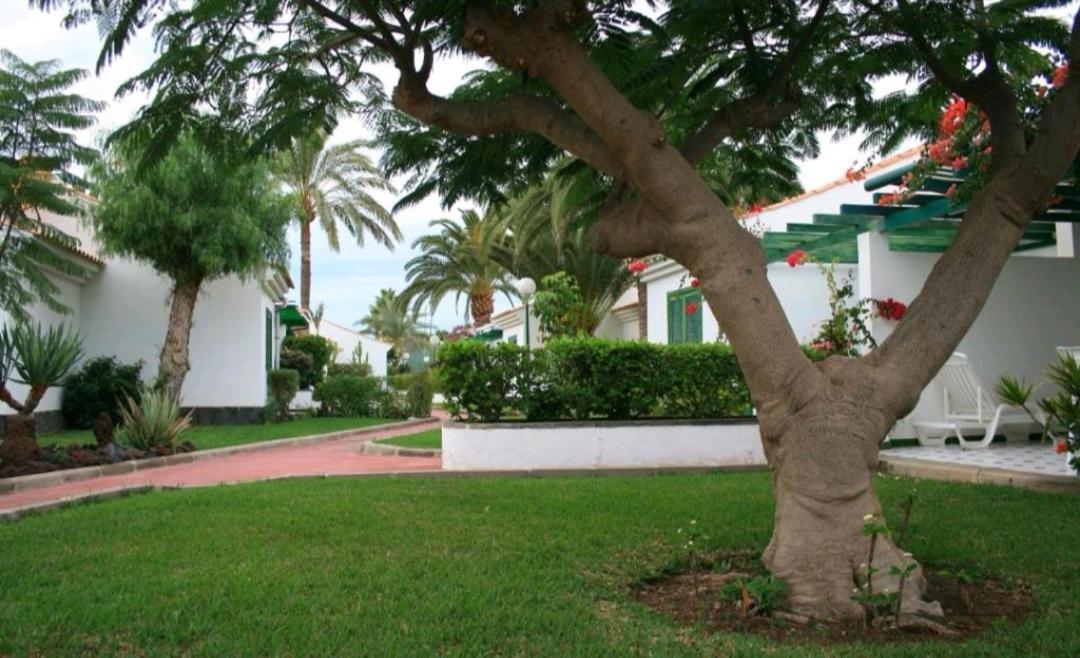 Maspalomas Dunas Golf Eksteriør bilde